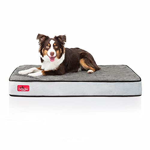 BRINDLE Waterproof Memory Foam Pet Bed - Removable and Washable Cover - 4 Inch Orthopedic Dog and Cat Bed - Fits Most Crates