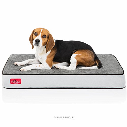BRINDLE Waterproof Memory Foam Pet Bed - Removable and Washable Cover - 4 Inch Orthopedic Dog and Cat Bed - Fits Most Crates
