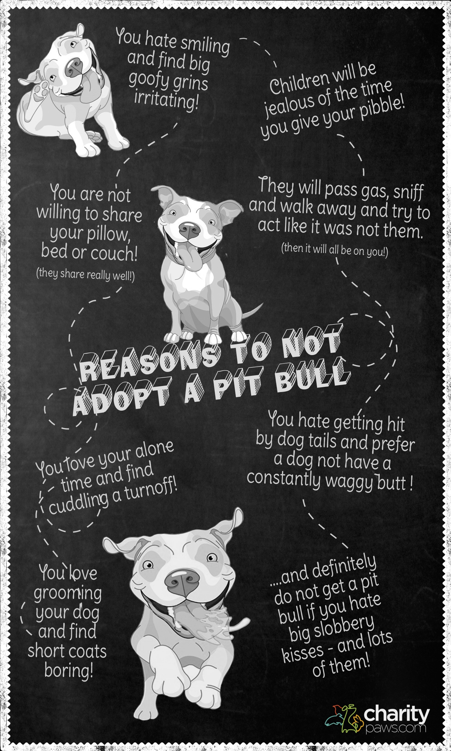 Reasons To Not Adopt A Pitbull