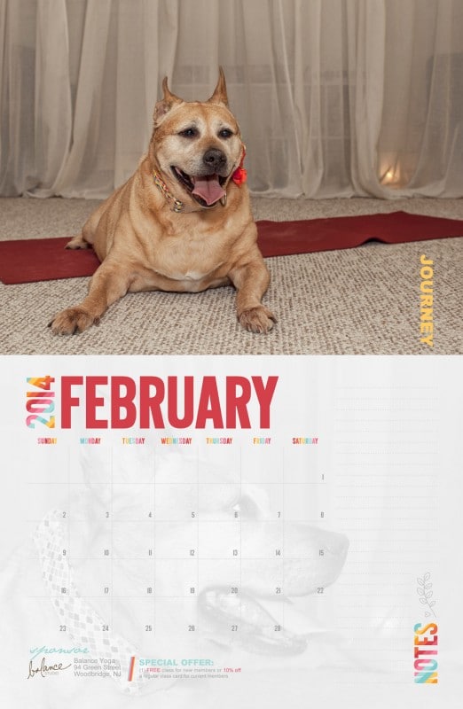 Calendar Fundraising Idea For Animal Shelters & Rescues