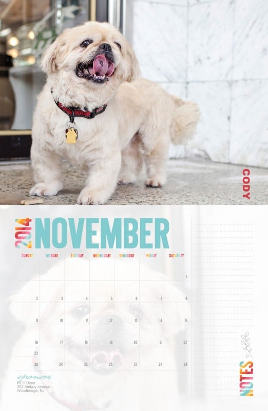 Calendar Fundraising Idea For Animal Shelters & Rescues