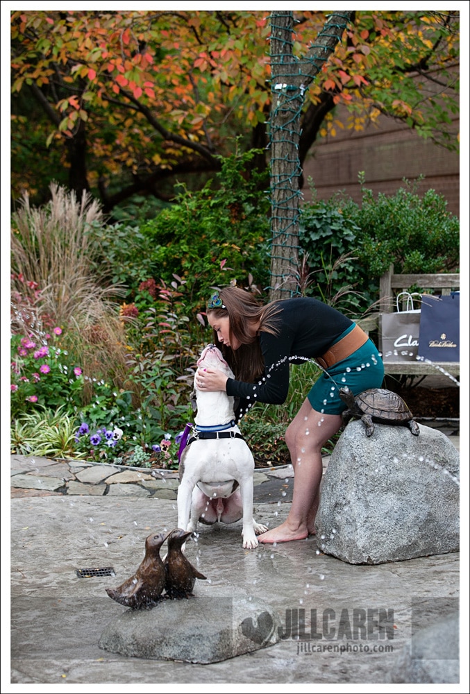 Animal Adoption Campaign Featuring Pit Bulls & Pretty Girls