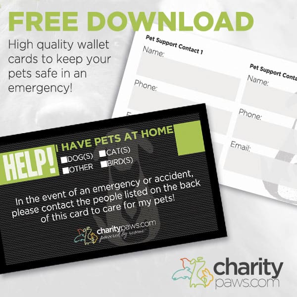 Pet Emergency Card Free Download