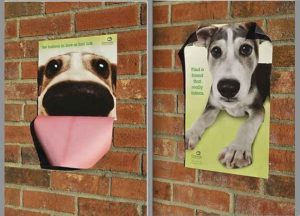 3 Dimensional Pet Adoption Campaign