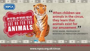 Circuses Are No Fun For Animals
