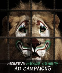 Creative Circus Cruelty Ad Campaigns