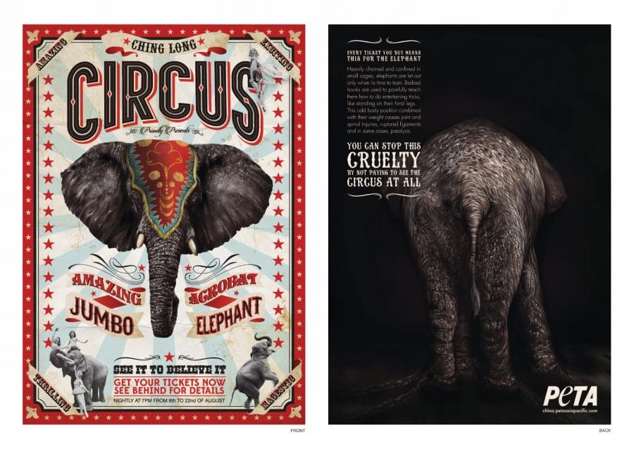 Elephant In Circus