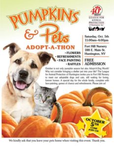 Fall Pet Adoption Campaign
