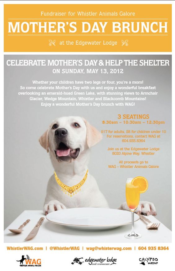 Mothers Day Fundraiser