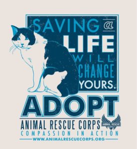 Save A Life Adopt