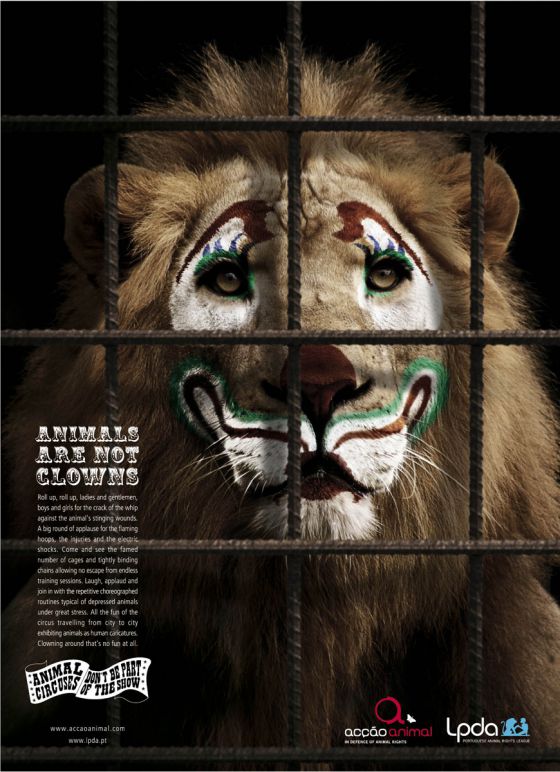 Stop Animals From Being Used In Circuses