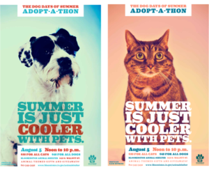 Summer Pet Adoption