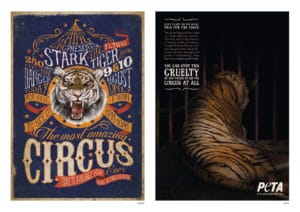 Tiger In Circus