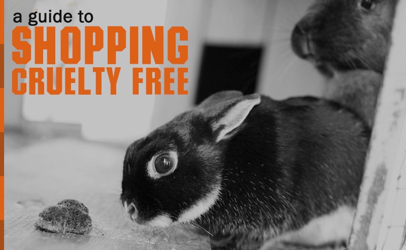Shopping Cruelty Free