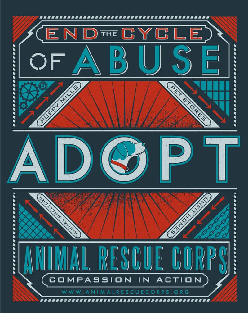 Animal Adoption Marketing Campaign Sample