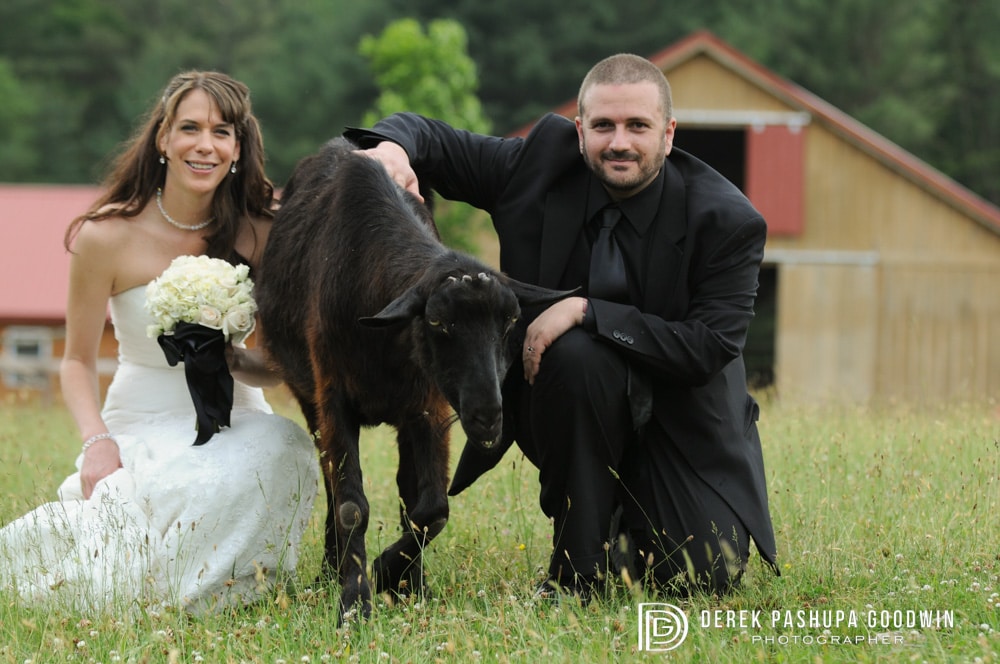 Wedding At Animal Sanctuary