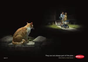 Animal Abandonment Campaign - New Baby