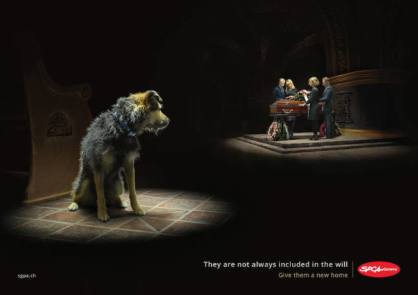 Animal Abandonment Campaigns That Touch The Heart