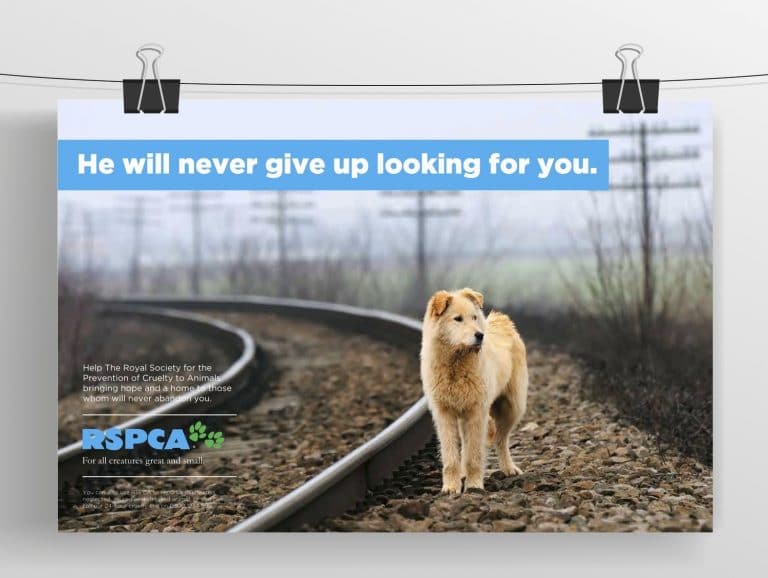 Animal Abandonment Campaigns That Touch The Heart