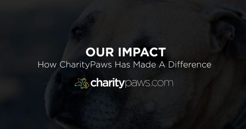 CharityPaws Impact