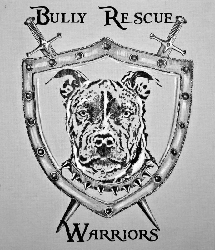 Bully Rescue Warriors Logo