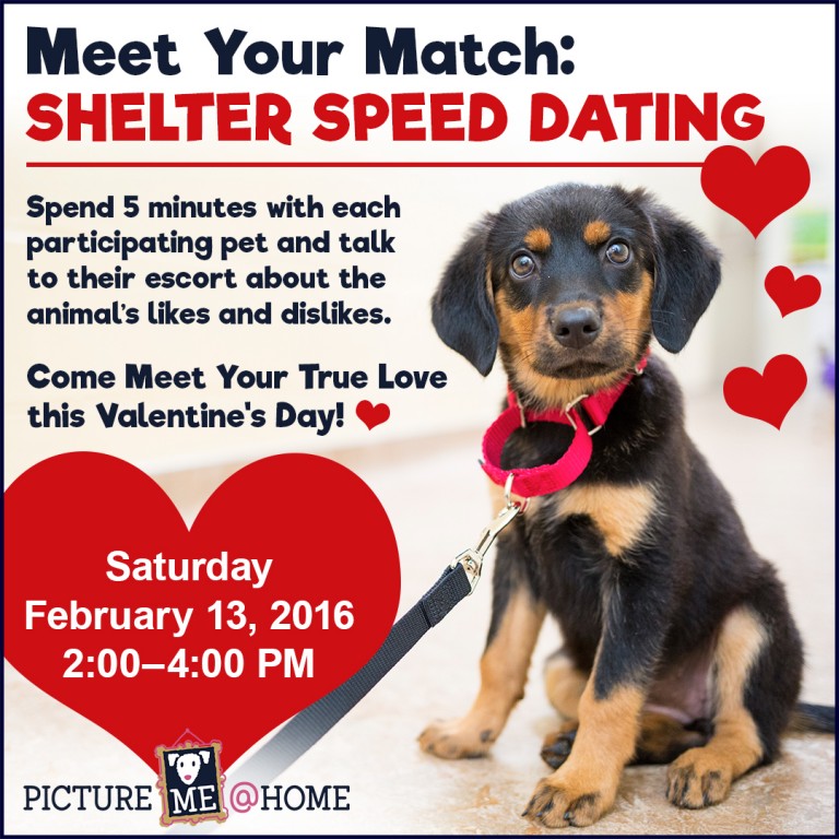Shelter Speed Dating Fundraiser