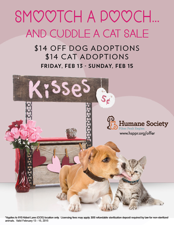10+ Valentines Day Fundraising Ideas To Help Animals