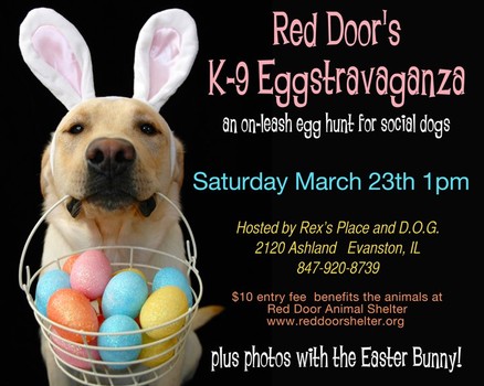Eggstravaganza from Red Door Rescue