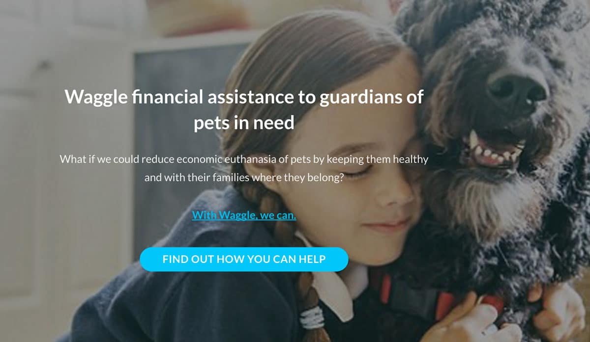 Waggle helps pet owners with vet bills.