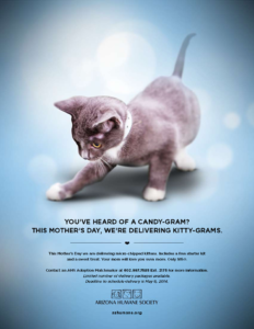 Mother's Day Kitty Gram - Cat Adoption