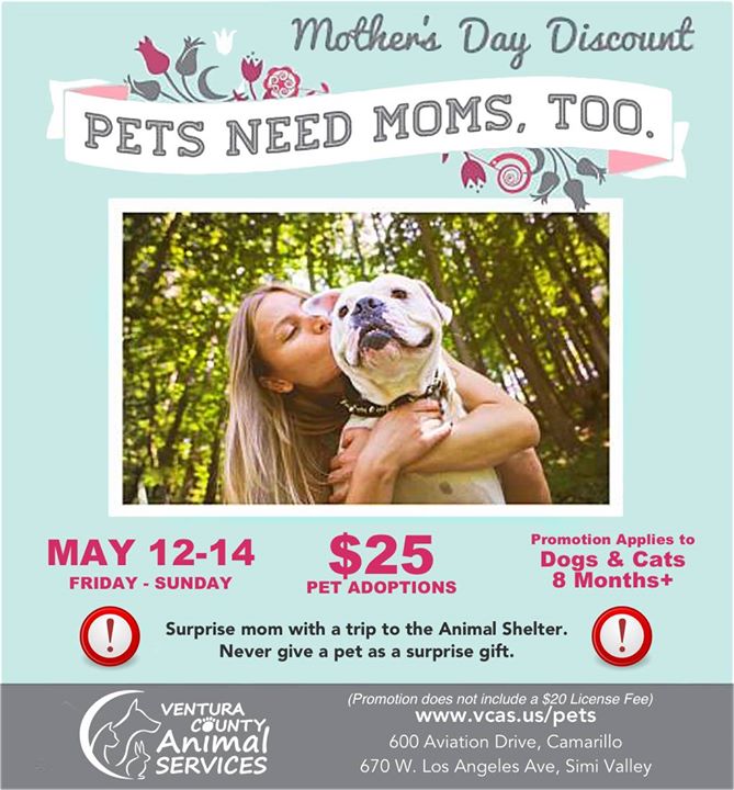Mothers Day Pet Adoption Campaigns