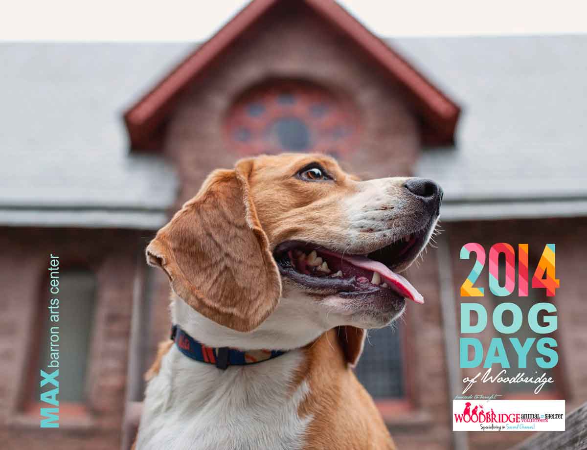 cover of dog days photo calendar