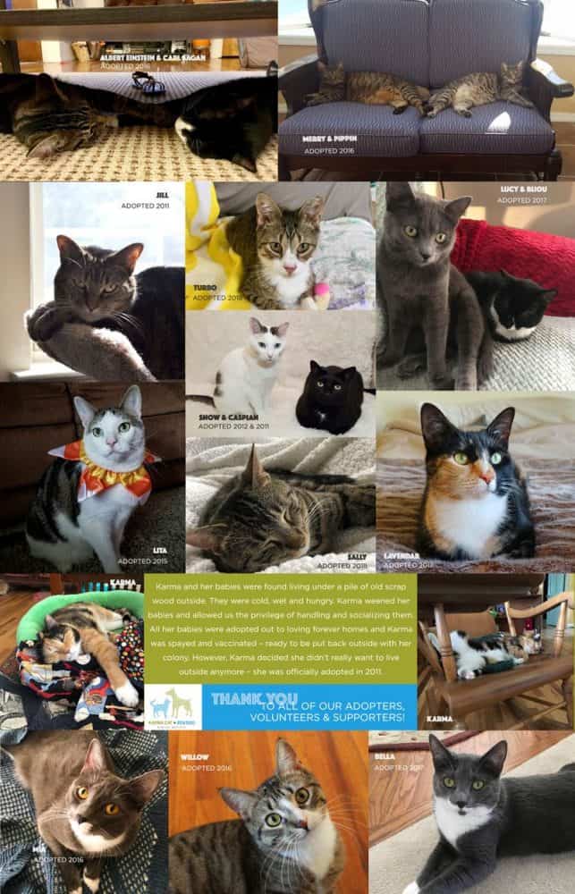 Fundraising Cat Calendar Alumni Page