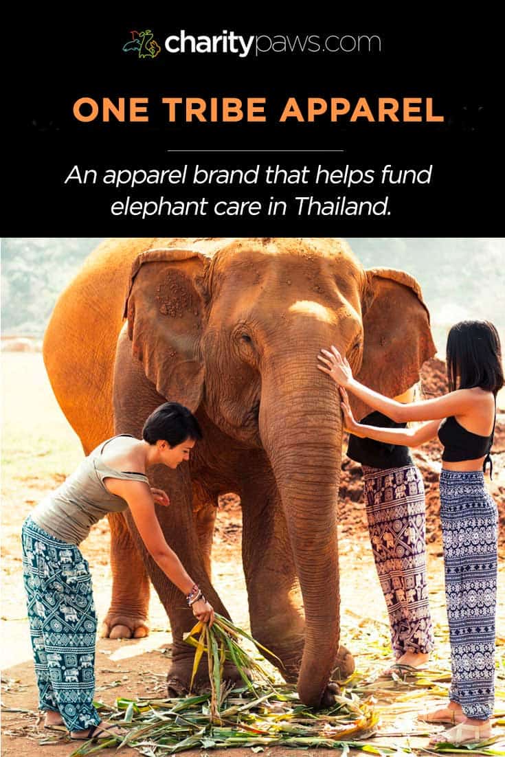 One Tribe Apparel Helps Elephants