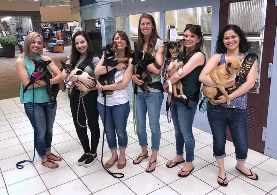 Bachelorette Party Helps Animals