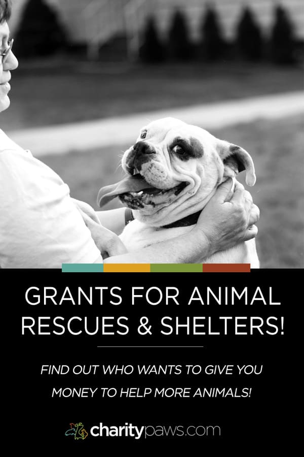 A list of great organizations and businesses offering grant opportunities to animal rescues and shelters so your organization can help more animals!