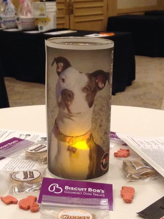 Photo Candle For Wedding With Adoptable Pets