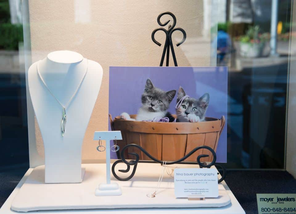 Cat Adoption Campaign - Photographer & Jeweler