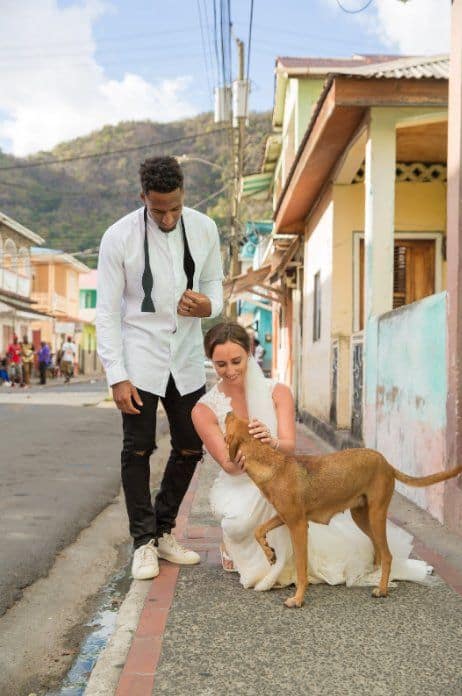 Weddings Helping Dog Rescues