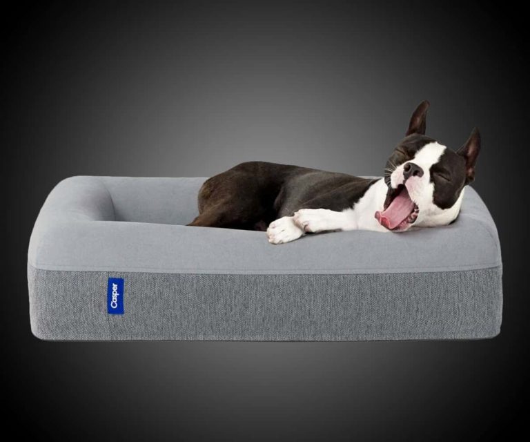 macombo dog beds macombo dog beds