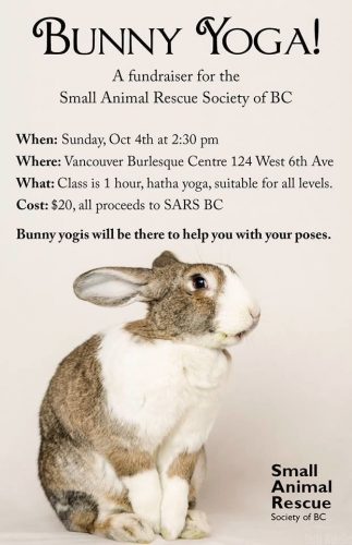 Bunny Rescue Yoga Fundraiser