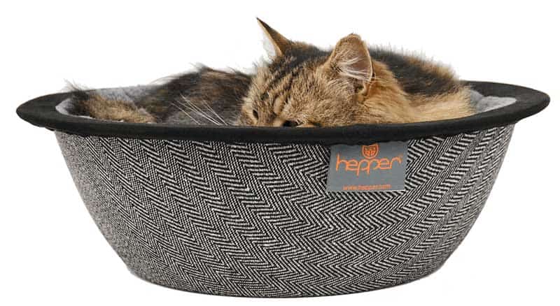Pet giveaways 2019 PET GIVEAWAYS 2019