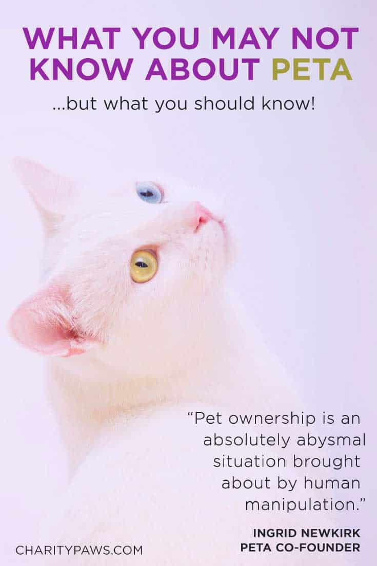PETA is not what you think they are.