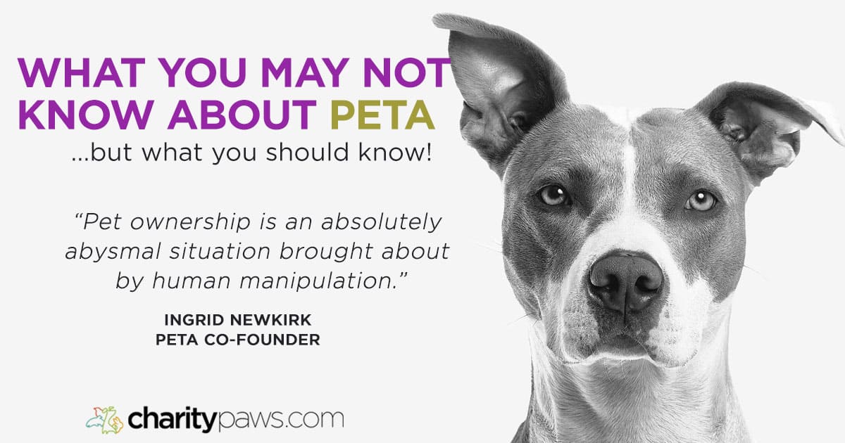 peta-peta-meaning-animals-imagesee