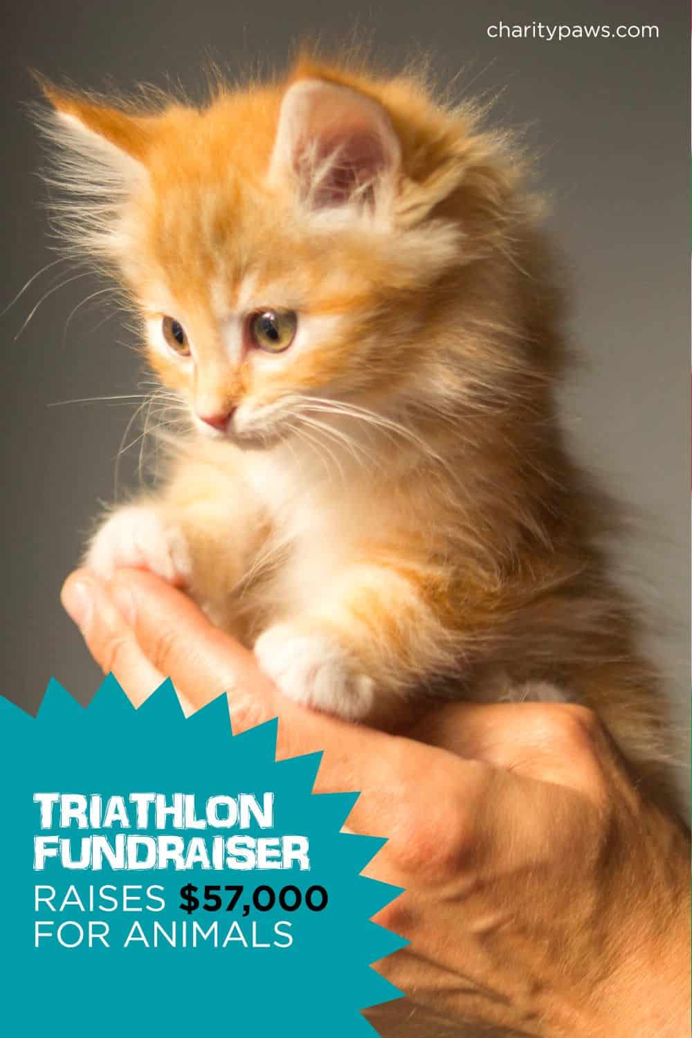 Animal Rescue Triathlon Event
