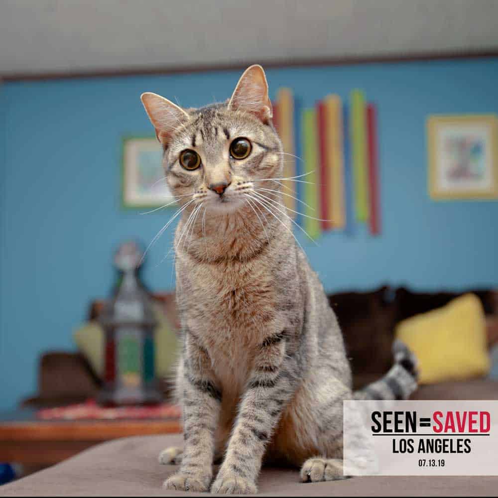 SEEN=SAVED Event Los Angeles