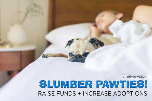 Raise Funds & Increase Donations With A Slumber Pawty