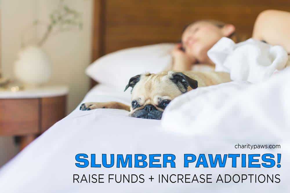 Raise funds and increase adoptions with a Slumber Pawty