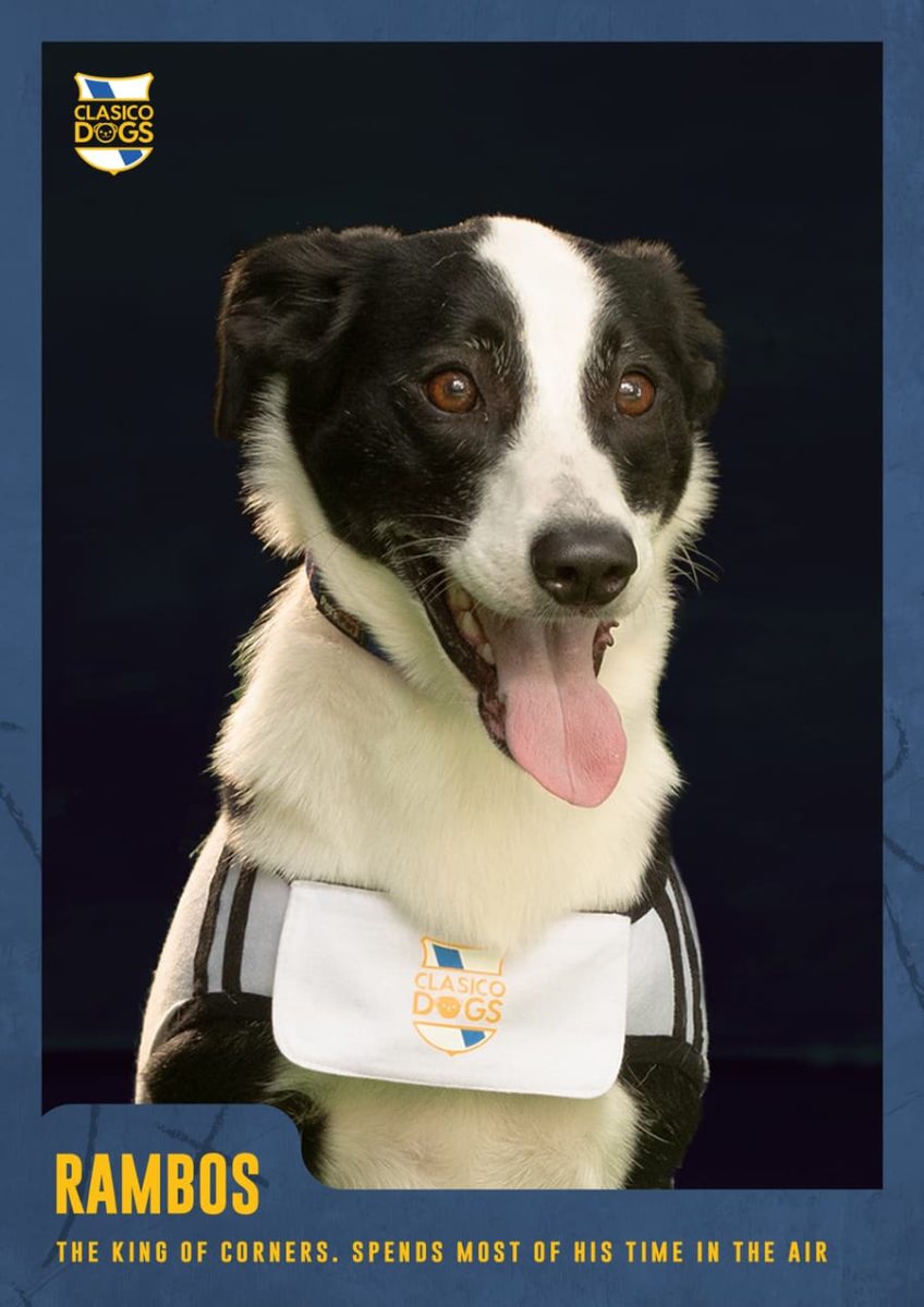 Clasico Dogs Rescue Sports Card