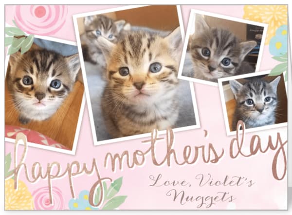 Mother's Day fundraising greeting card.